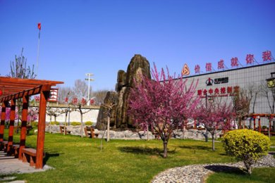 <b>花开天脊  绽放化工浪漫</b>