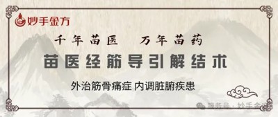 苗医大师钱如力