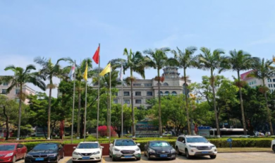 海外华人共论数字经济新机遇：临沧智慧熊猫·云南辐射圈·侨商实践样本