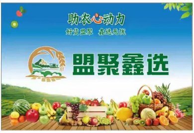 盟聚鑫选 助农心动力！