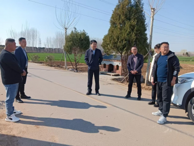 枣庄市薛城区临城街道人大念好三字诀绘就人居环境新图景