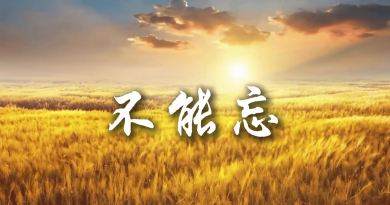 天中大地麦浪香 原创歌曲《不能忘》致敬每一位耕耘者