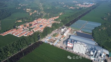 多元产业齐绽放 乡村振兴谱新篇——长治市壶关县石堡寨村产业振兴侧记