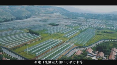 深耕深山兴产业 联农共富谱新篇—淄博淄川佰兴依政策促乡村振兴